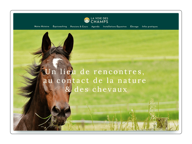 Cover for La Voie des champs