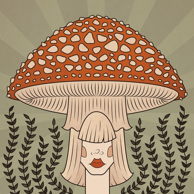 Amanita Muscaria Cover