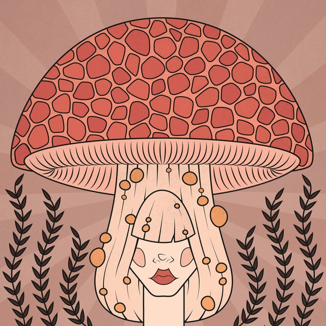 Rhodotus palmatus Cover